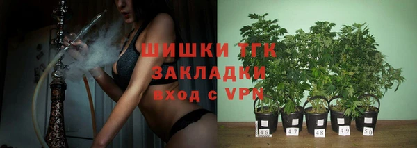 дмт Армянск