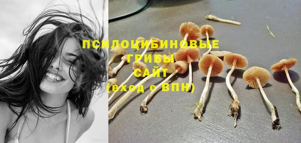 эйфоретик Аркадак