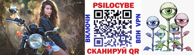 Псилоцибиновые грибы Psilocybine cubensis цена Николаевск-на-Амуре