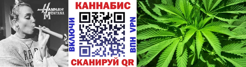 где можно купить наркотик  MEGA ONION  Марихуана план  Николаевск-на-Амуре 